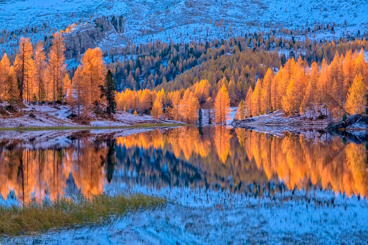 Natur, Wald an einem See 