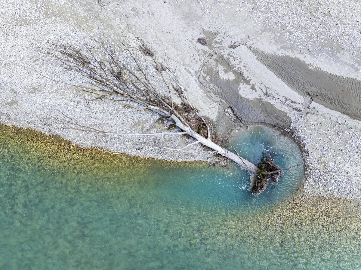 umgefallener Baum im Fluss 